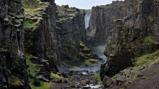 Deep volcanic basalt canyon wall at Thingvellir in Iceland where the medieval Althing assembly convened
